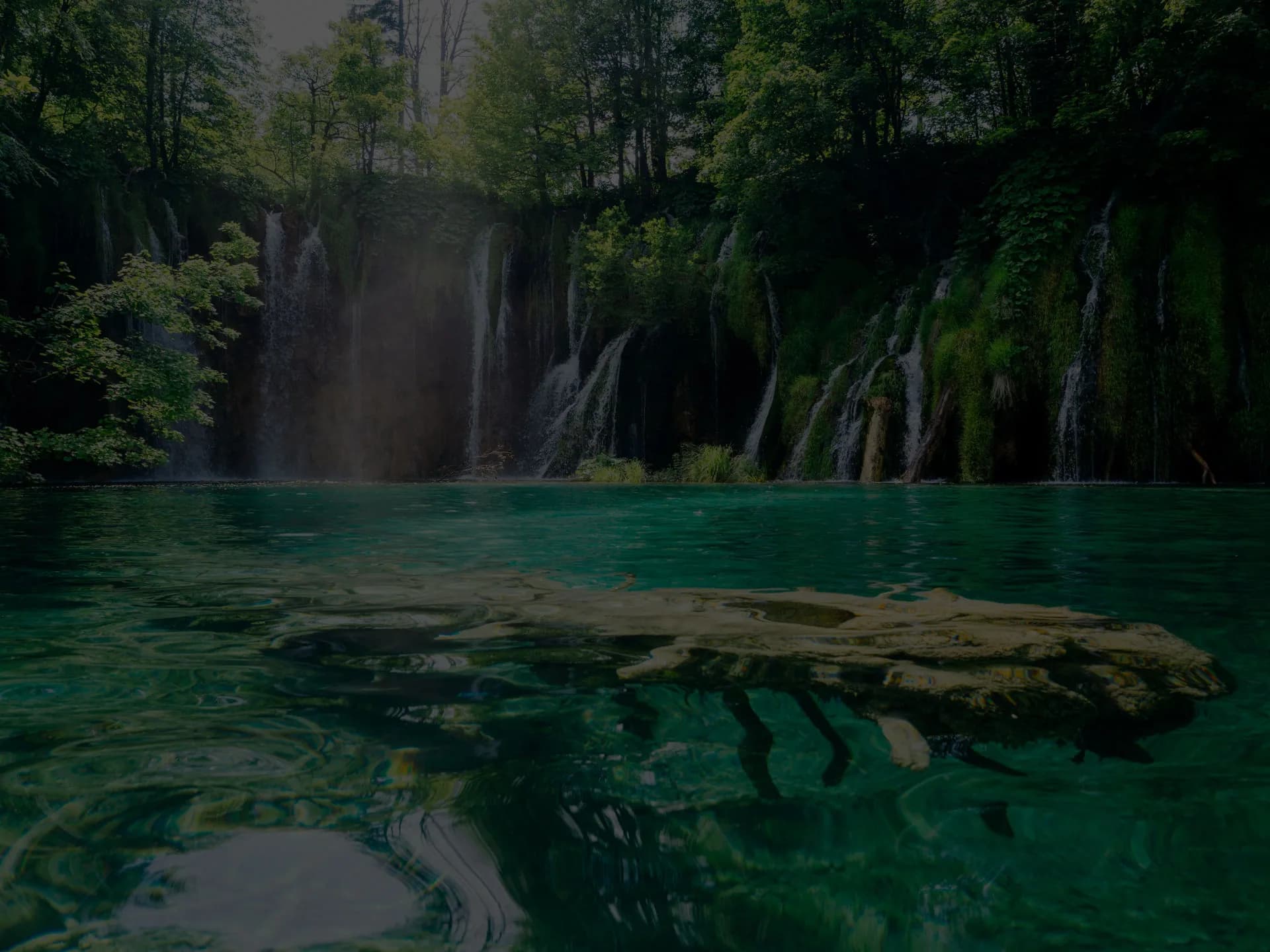 Private tours in Croatia